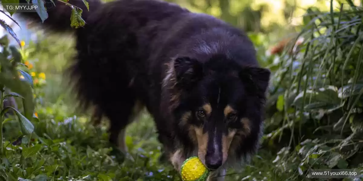 「弹幕互动 + 专家解读,边看边聊才是观赛标配!💬加入直播间,一起嗨翻天!」